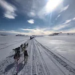 Levajok *