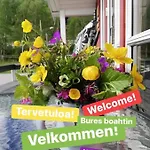 Levajok