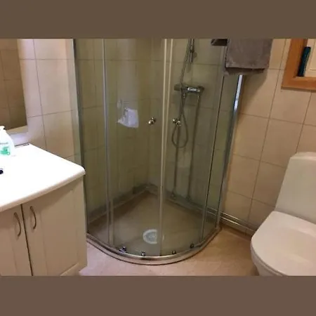 Деревянный коттедж Levajok *