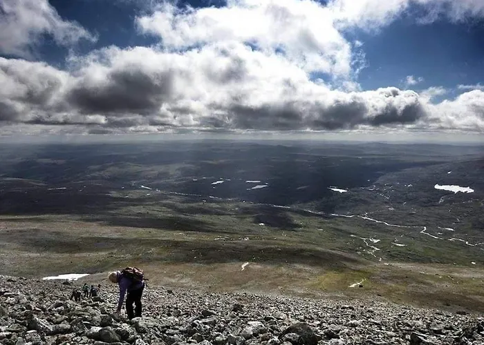 Levajok Fjellstue Lodger Tana