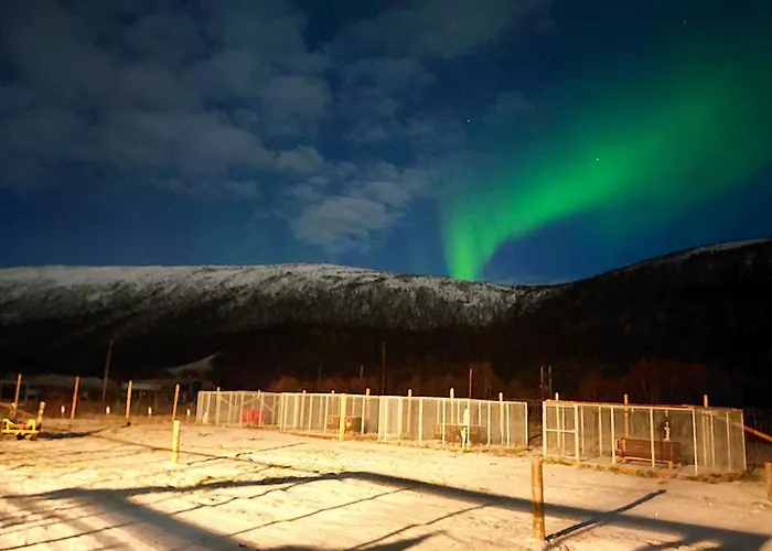 Levajok Fjellstue Tana
